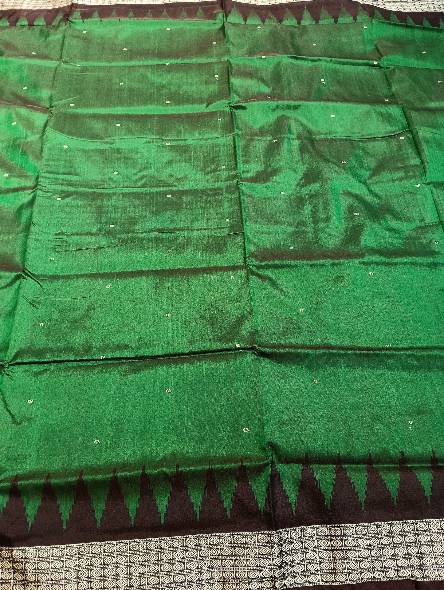 Green coffee sambalpuri silk saree (2291) - Tilottama